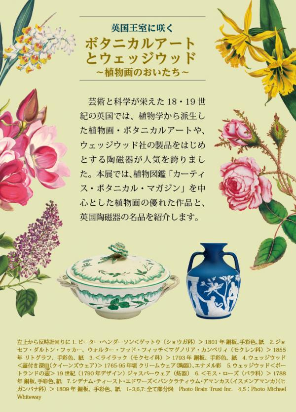 英国王室に咲くボタニカルアートとウェッジウッド〜植物画のおいたち〜　本展では、植物図鑑「カーティス・ボタニカル・マガジン」を中心とした植物画の優れた作品と、英国陶磁器の名品を紹介します。