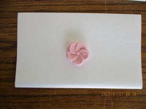 梅の干菓子