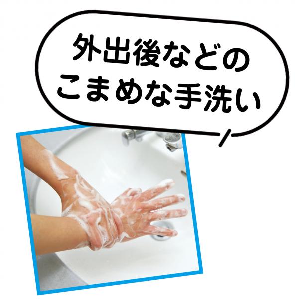 外出後などのこまめな手洗い