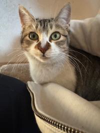 正面写真