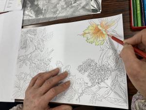 「ボタニカルアートに挑戦」の様子5