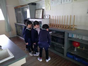 り