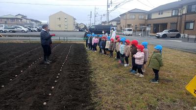 じゃがいも植え02