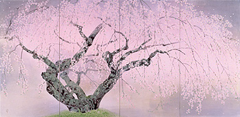 中島千波 《夢殿の枝垂桜》 1992年　寄託作品
