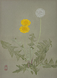 村田茂樹 《たんぽぽ（春三題の内）》1987年 寄託作品