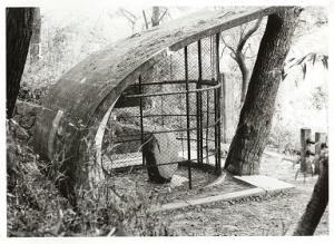 1985年頃の金井沢碑覆屋写真