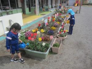 花の水やり