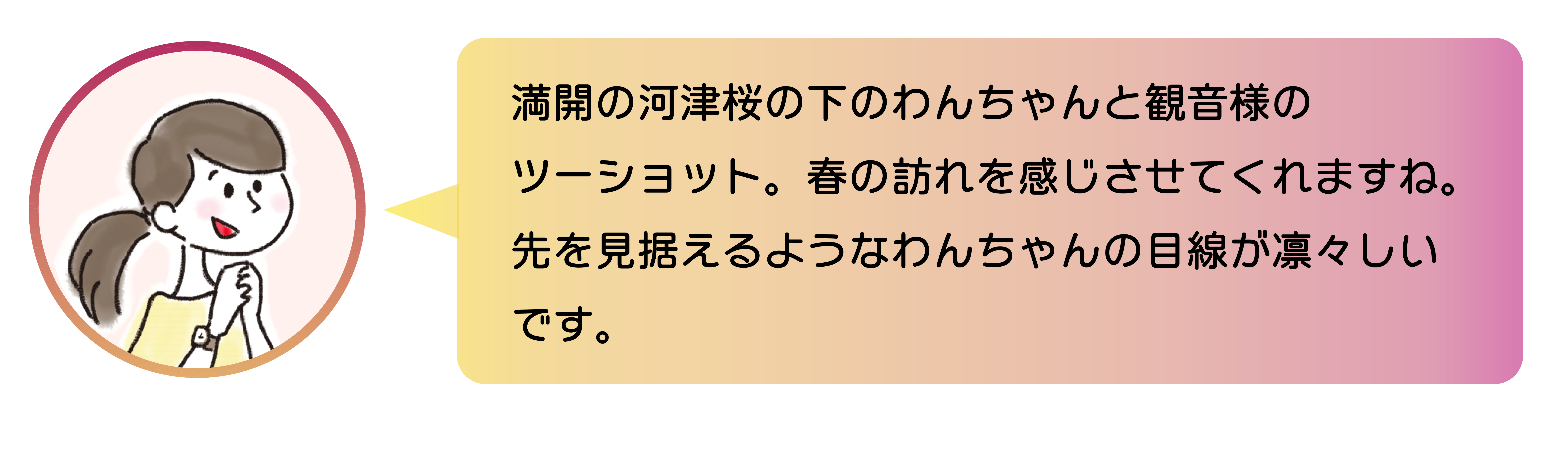 職員からのコメント。満開の河津桜の下のわんちゃんと観音様のツーショット。春の訪れを感じさせてくれますね。先を見据えるようなわんちゃんの目線が凛々しいです。