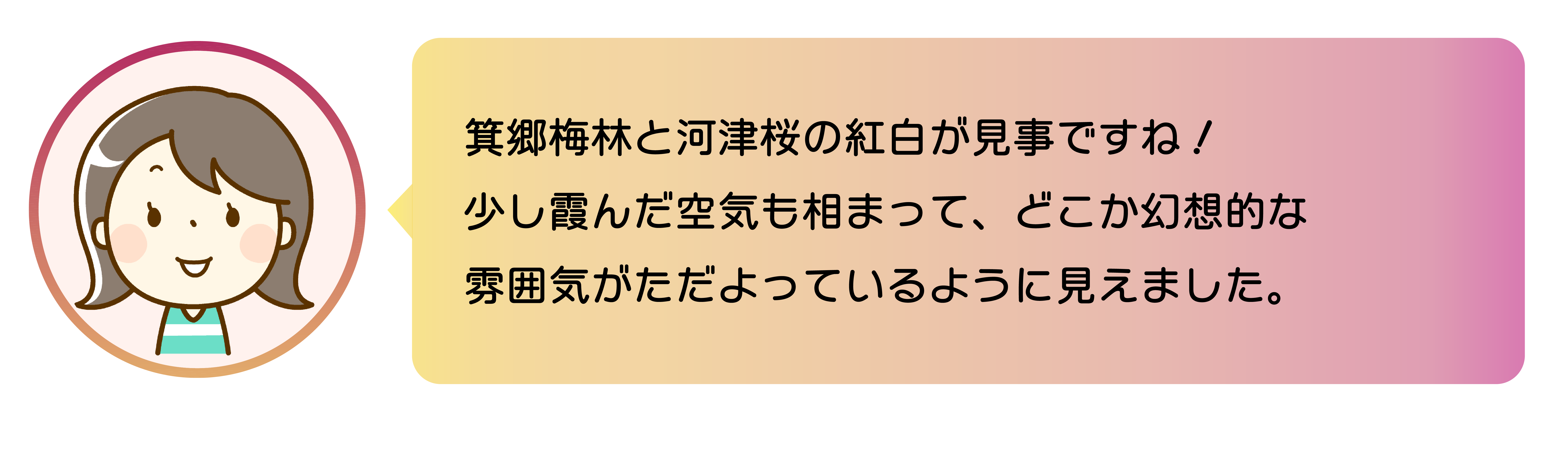 職員からのコメント。箕郷梅林と河津桜の紅白が見事ですね！少し霞んだ空気も相まって、どこか幻想的な雰囲気がただよっているように見えました。