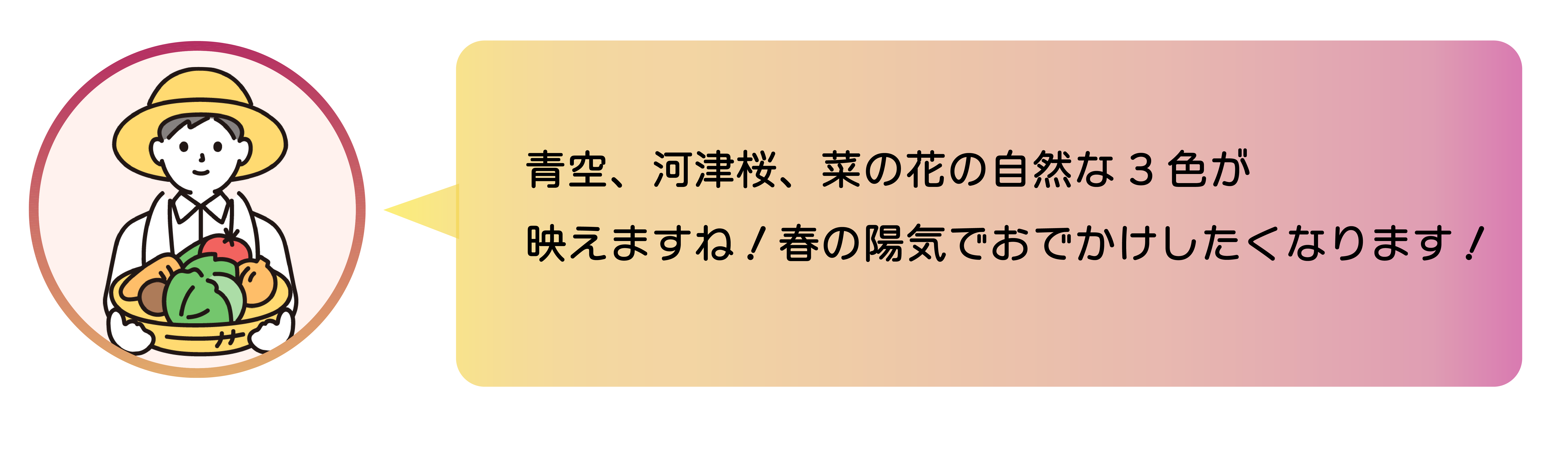 職員からのコメント。青空、河津桜、菜の花の自然な3色が映えますね！春の陽気でおでかけしたくなります！ 