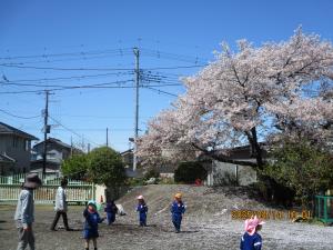 花びら集め