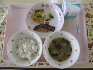給食