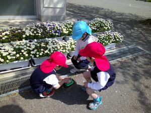 子どもたちがダンゴムシを探しています。