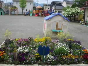 花壇の花々