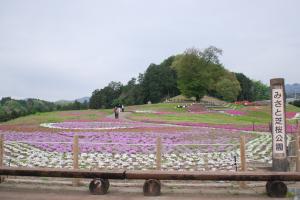 芝桜公園 南から撮影