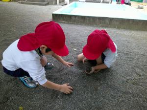 大きくなれ