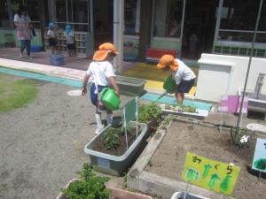 みずやり
