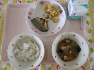 給食