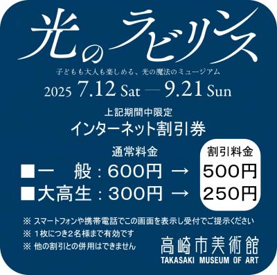 光のラビリンスインターネット割引券