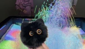 ぬいぐるみと一緒にめぐるナイトツアーのイメージ写真