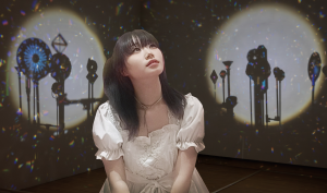 自分撮りを楽しむナイトツアーのイメージ写真