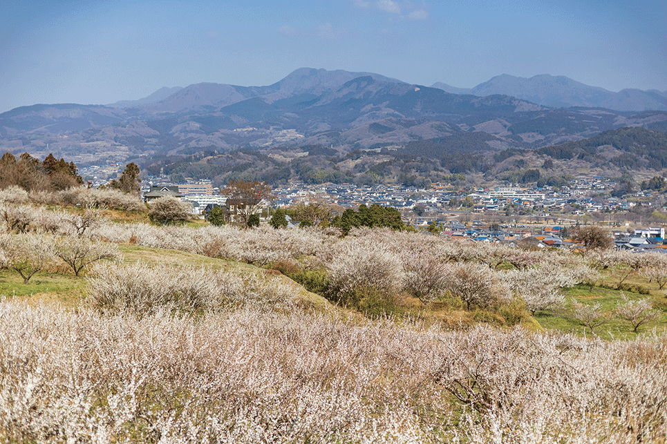 移住先地域の風景