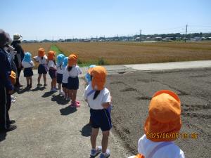 帰り道①