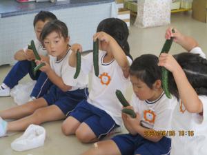 きゅうりをもって記念撮影