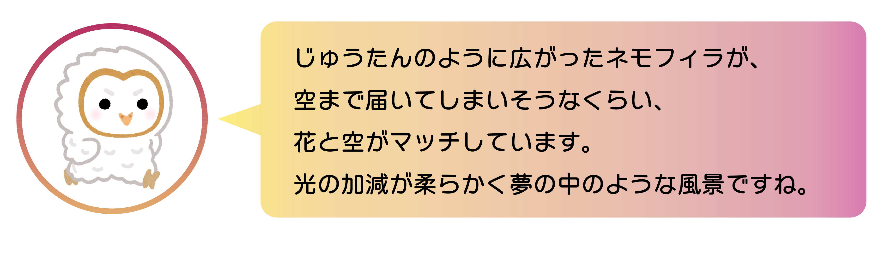 じゅうたんのように広がったネモフィラが、空まで届いてしまいそうなくらい、花と空がマッチしています。光の加減が柔らかく夢の中のような風景ですね。