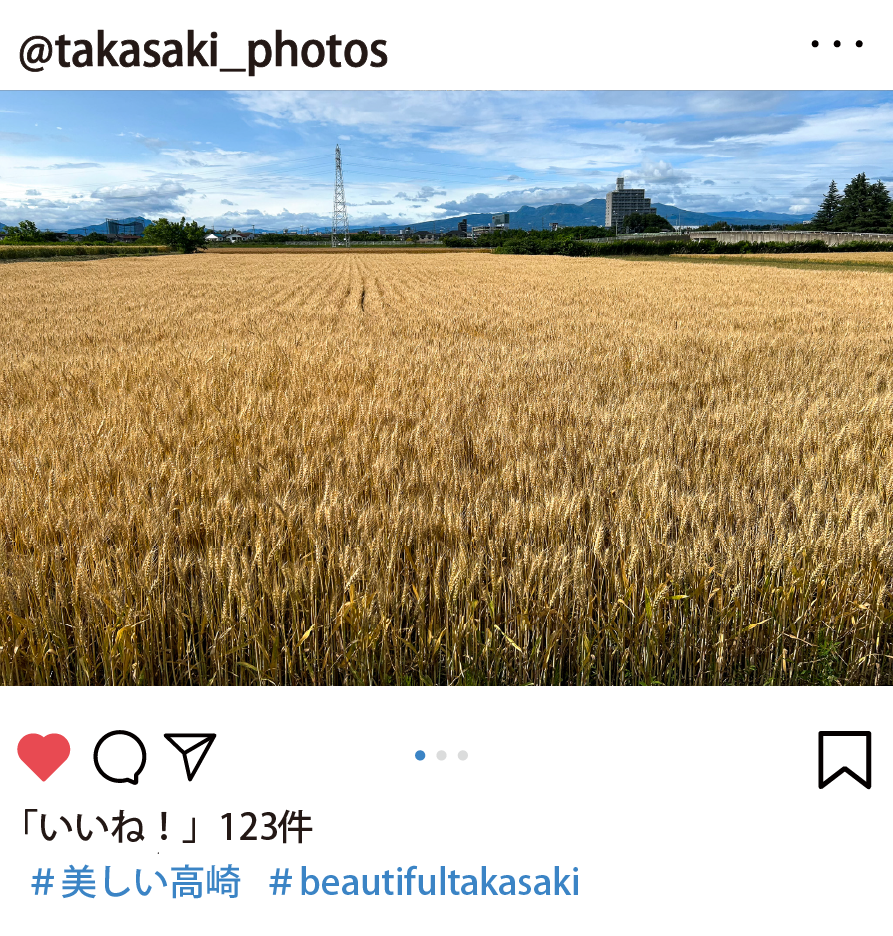 広報課からの1枚の写真。6月1日撮影　宿大類町の小麦畑