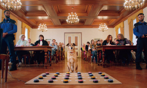 犬の裁判の画像