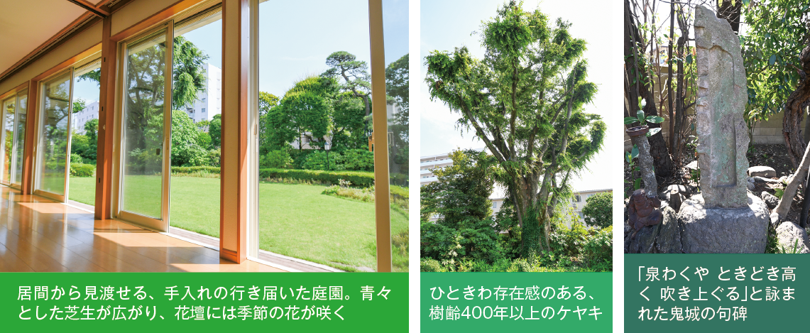 居間から見渡せる、手入れの行き届いた庭園。青々とした芝生があり、花壇には季節の花が咲く/ひときわ存在感のある、樹齢400年以上のケヤキ/「泉わくや　ときどき高く　吹き上ぐる」と詠まれた鬼城の句碑