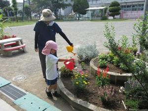 水やり