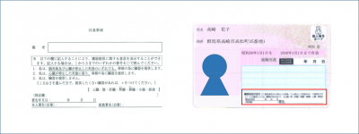 臓器提供
