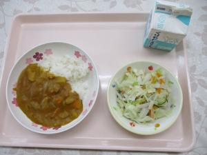 給食