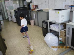 猫の散歩
