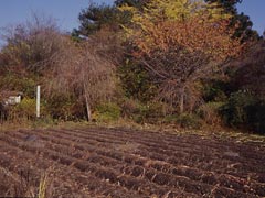 観音山小栗邸跡の画像