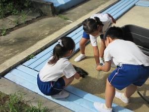 さくらちゃんの世話2