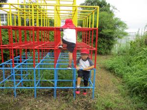 ジャングルジム1