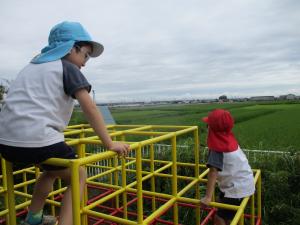 ジャングルジム2