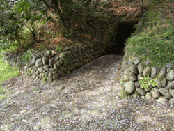 観音塚古墳の桜2