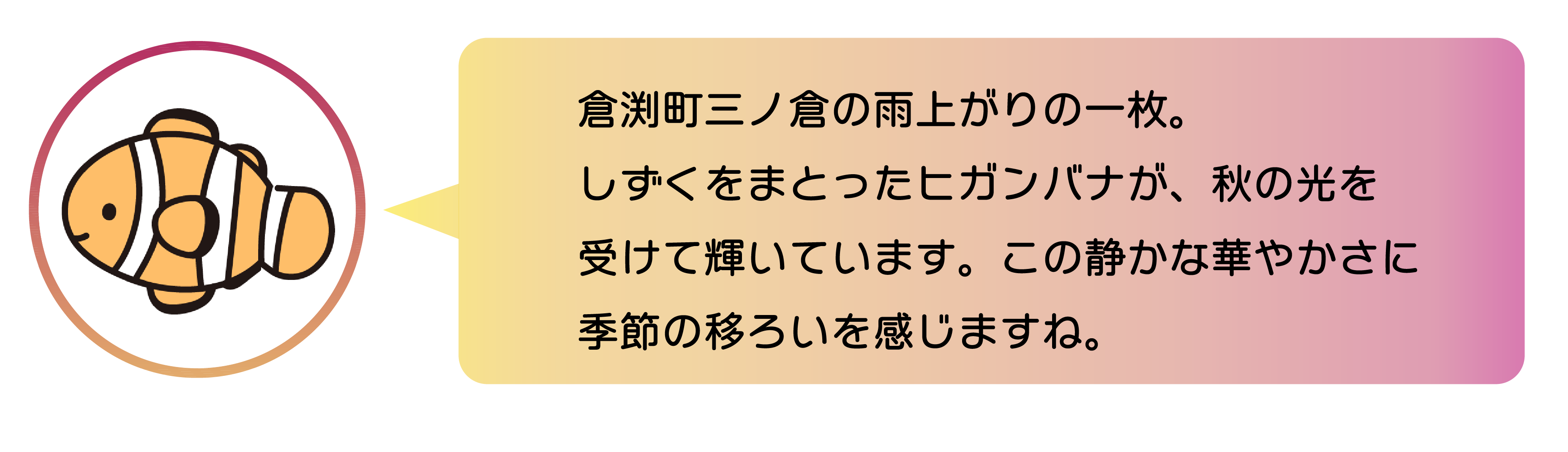 倉渕町三ノ倉の雨上がりの一枚。しずくをまとったヒガンバナが、秋の光を受けて輝いています。この静かな華やかさに季節の移ろいを感じますね。