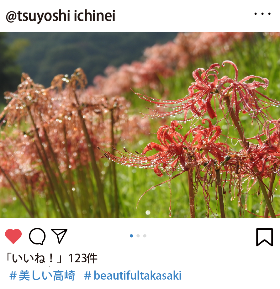 職員が選んだおすすめ写真 @tsuyoshi.ichineiさん