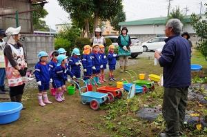 さつまいも掘り3