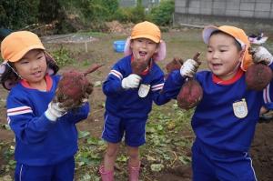 さつまいも掘り12