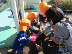 年長のイチゴ①