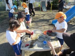 さつまいもを使って2