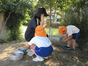 さつまいもを使って4