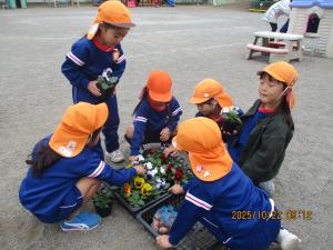 年長花植え①