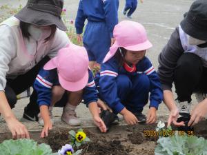 年少花植え②